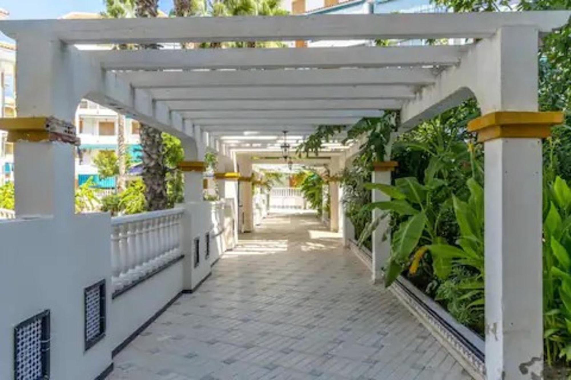 Pmt17 - Penthouse Apartment With Pool And Close To Beach La Mata  Dış mekan fotoğraf